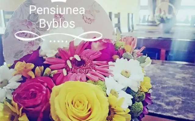 Byblos Pensiunea-dumbrava Rosie