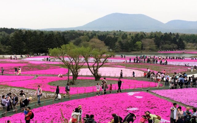 Hostel Mt. Fuji-FUKUYA