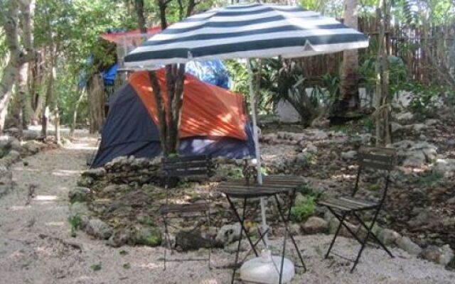 Yucatan Mayan Retreat Ecohotel and Camping