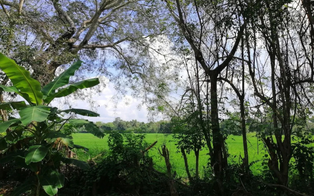 Ama Villa Homestay