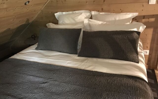 Au Sommet des Narcisses