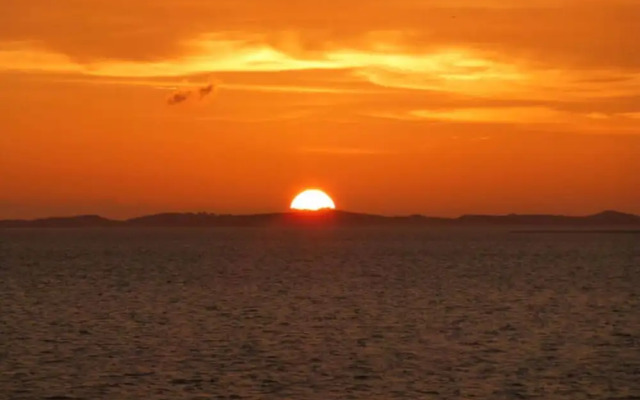 Holiday Home Gray Seal