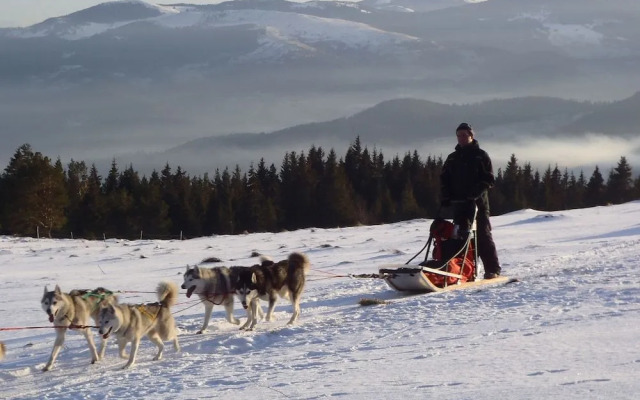 Chambres d'Hôtes La Petite Finlande