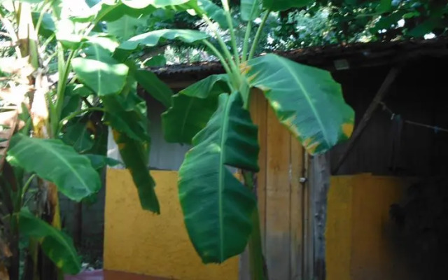 Jardín Tulum B&B