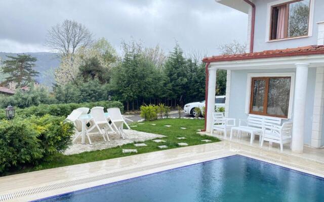 Sapancada Göl Manzarali Özel Havuzlu 3+1 Vi̇lla