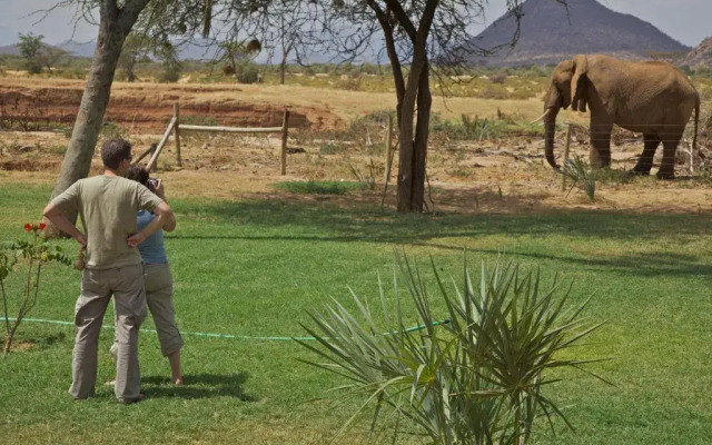 Samburu Lodge