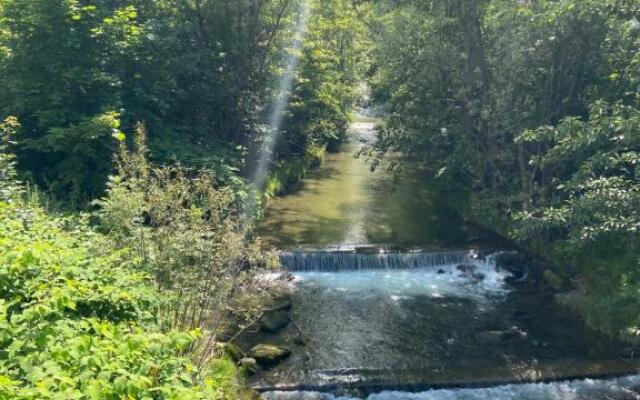 Green Apart Mountain Szczyrk Bratków 10E
