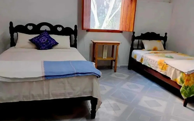 Koten Naj