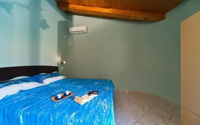 Oasiaurora