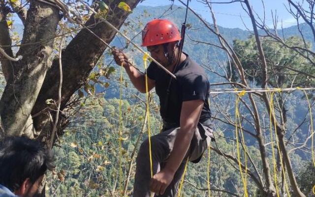Jungle Live Inn Camps & Resorts