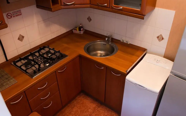 Apartment on Lvivska square