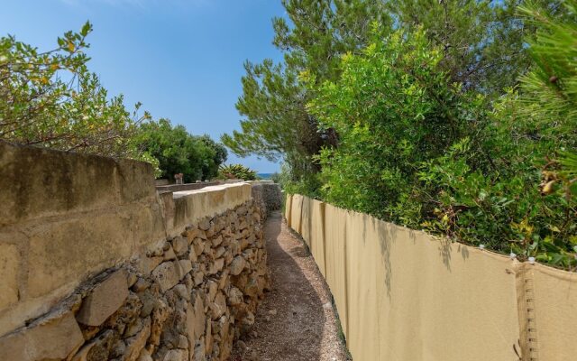 3545 Antonio - App Pulcinella by Barbarhouse