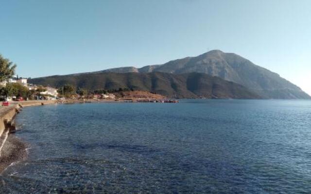 Villa the Platanus Tree