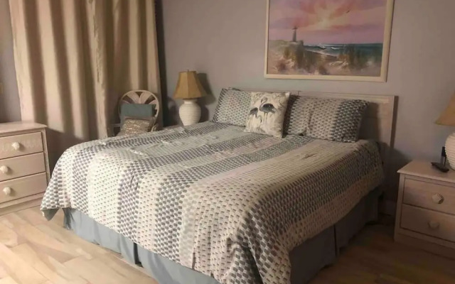 The Old Man the Sea-seaview 101