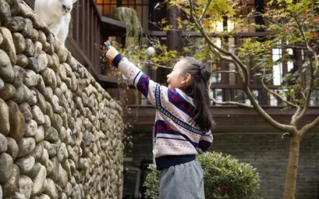 Moganmingtai Homestay