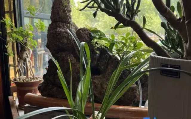 Songshanju Boutique Hostel