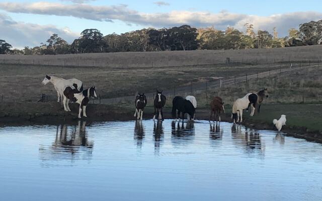 High Country Trail Rides & Farm Stay