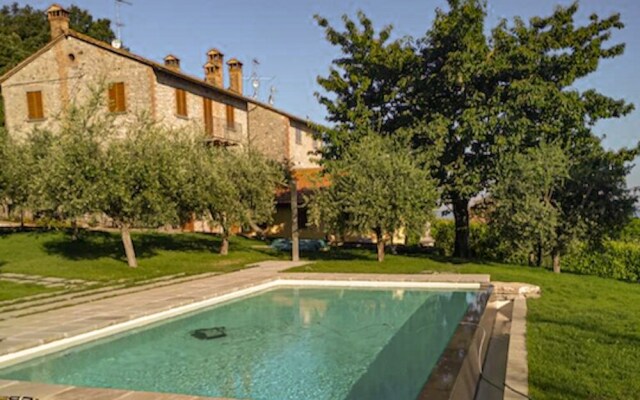 La Folaga del Trasimeno