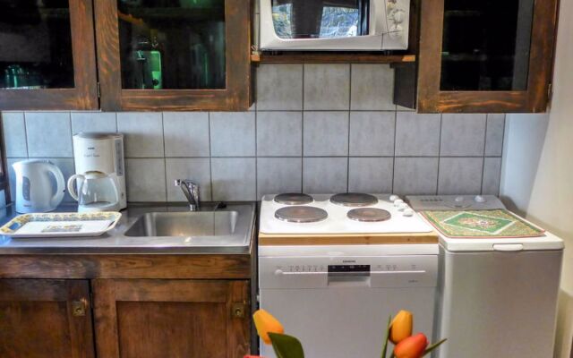 Villa Grand Roc Argentière 31066