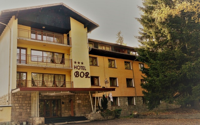 Hotel Bor