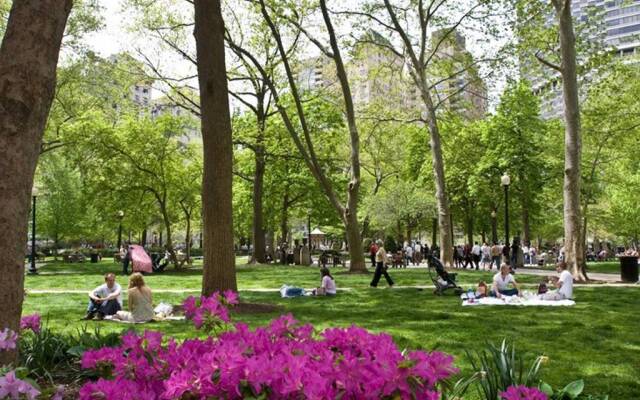 1955 Rittenhouse - Studio