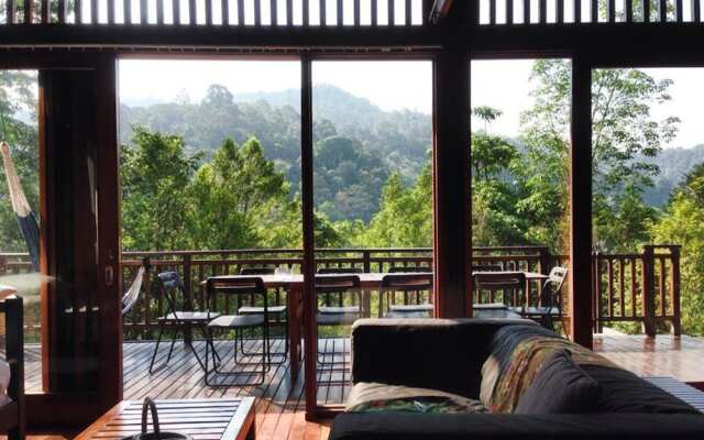 The Shorea