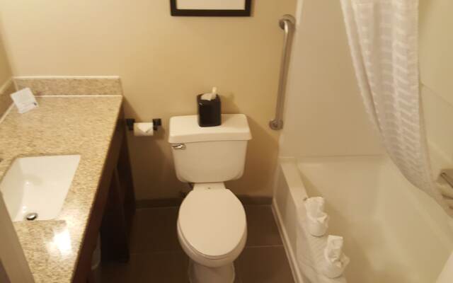 Comfort Inn Idaho Falls