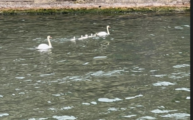 Hotel Rouen Sud - Oissel Rond Point des Vaches