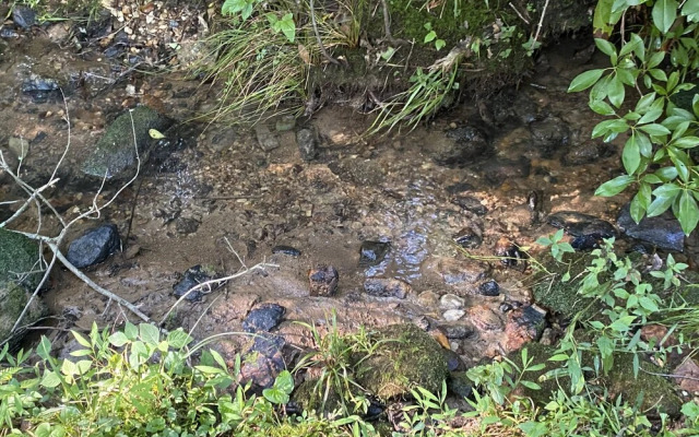 Serenity Creek