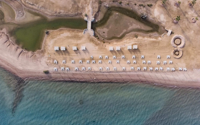 Xuru Stays I Homestyle & Summery 1bdr@ Mangroovy Free Beach Pool