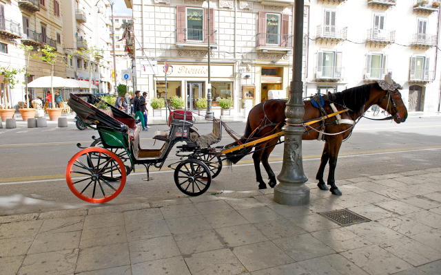 Mercure Hotel Palermo Centro