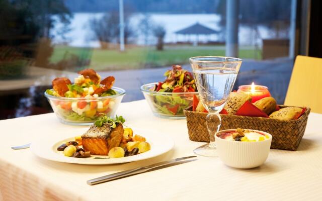 Hopeaniemi Resort