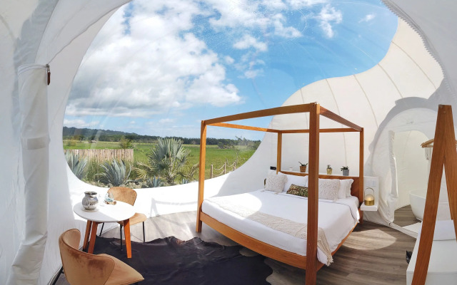 Green Land Bubble Glamping By Mint