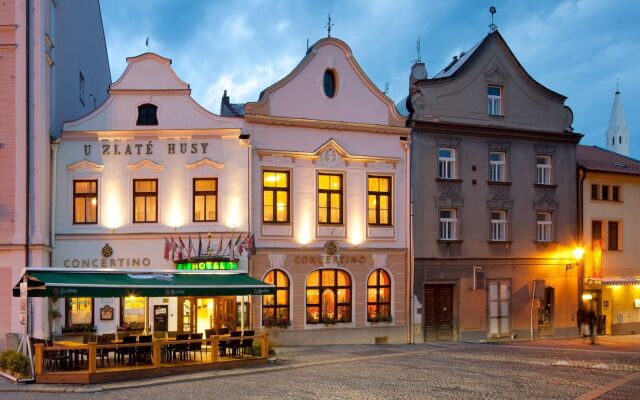 Hotel Concertino Zlatá Husa