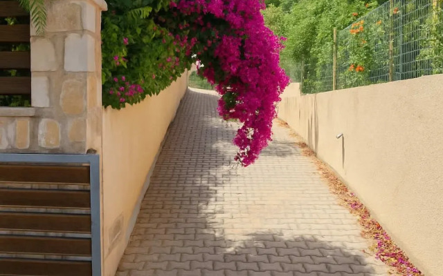 Stella Peaceful Beach Getaway 100m to Shore