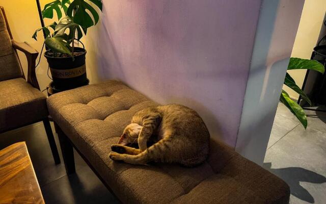 Villa Délight House “Stay&Chill”