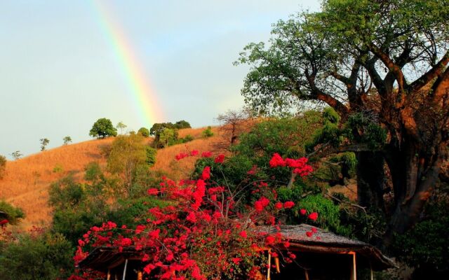 Mango Drift Lodge - Hostel