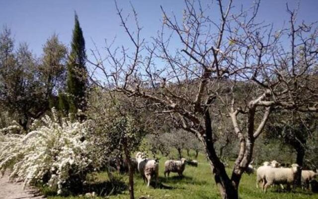 Monte De São Sebastião Do Vale Do Alcaide