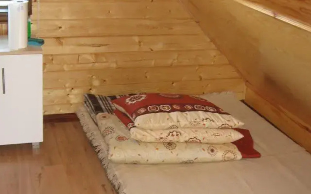 Przepiórka - Lisewo