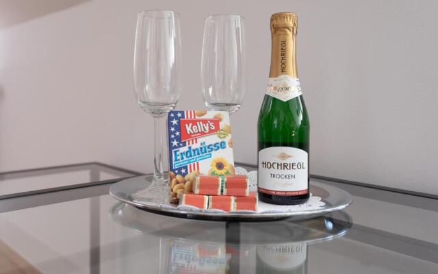 N46 · Penthouse near Schoenbrunn. Amazing Terrace! N46