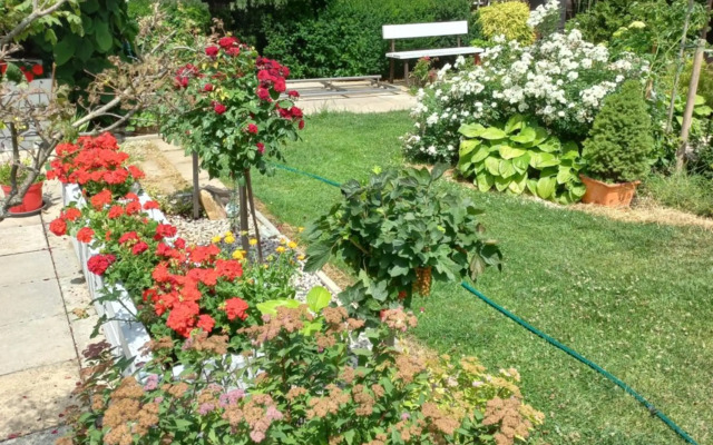 Paradise villa apartment