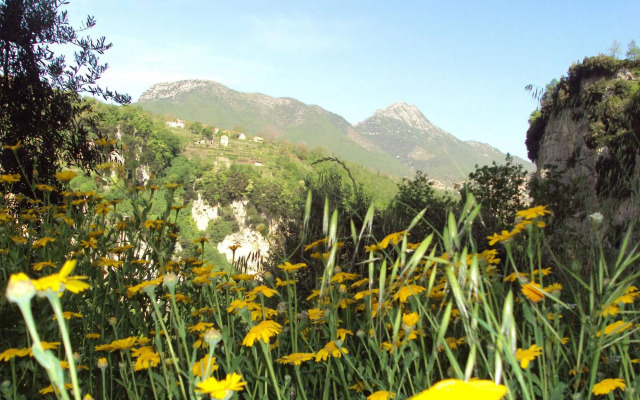 Agriturismo Orrido di Pino