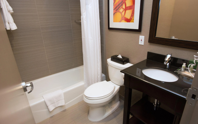 Holiday Inn NYC - Lower East Side by IHG