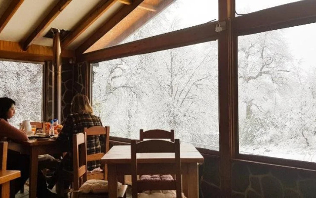 Lodge Las Trancas - Hostel