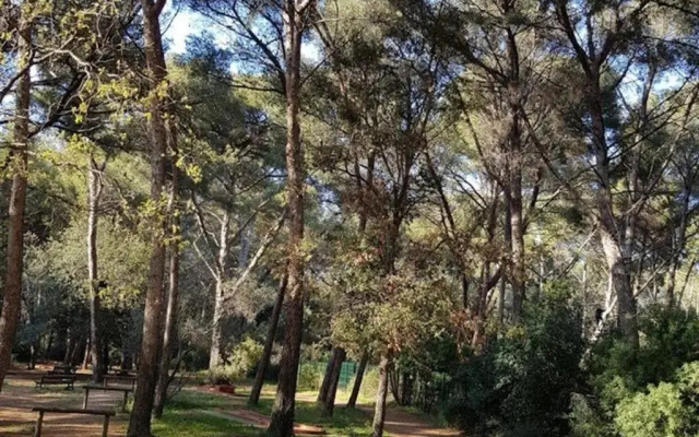 Appartement Six-Fours-les-Plages, 2 pièces, 4 personnes - FR-1-316-146