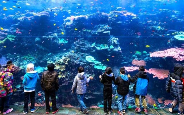 Residence Inn Atlanta Duluth/Gwinnett Place