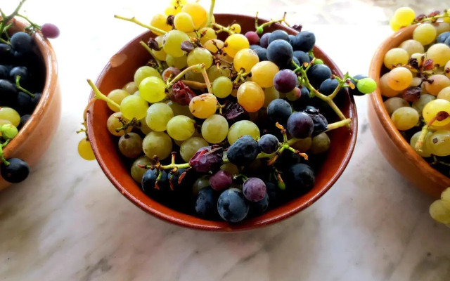 Casa Rondini, organic farm