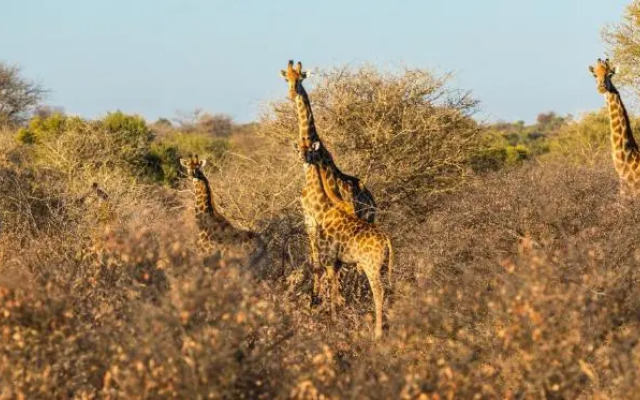 Palala Boutique Game Lodge & Spa