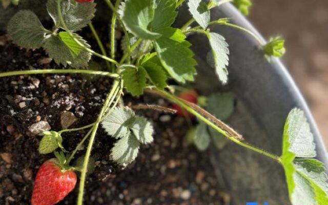 Shu Yi Shu Er B&B（Dalian Nanshan Road Shop）