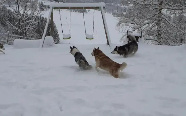 Nordiques De La Welche